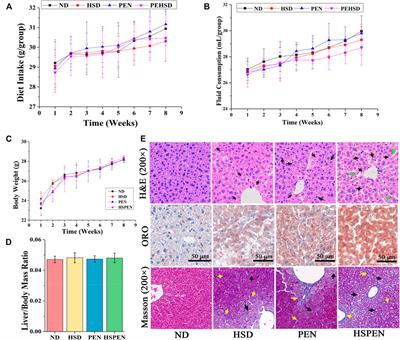 Antibiotic Disruption of the Gut Microbiota Enhances the Murine Hepatic Dysfunction Associated With a High-Salt Diet